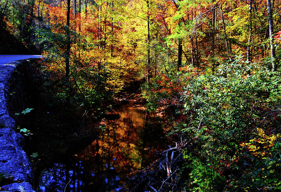 Colors Of Nature - Fall Reflections 005 Photograph by George Bostian