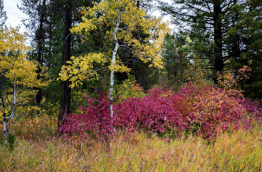 Colors of October by Alex Galkin Colors of October by Alex Galkin
