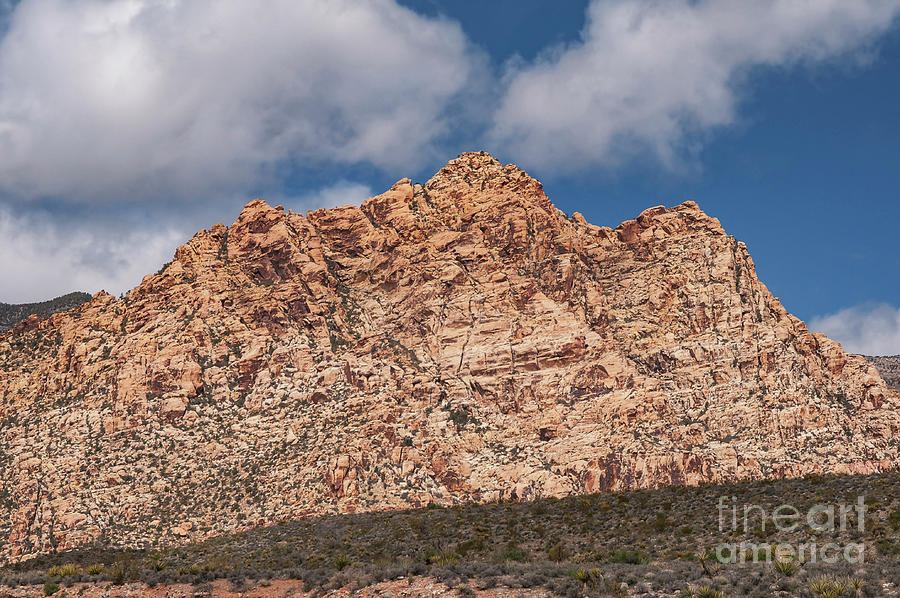 Colors of Red Rock Canyon Five Photograph by Bob Phillips