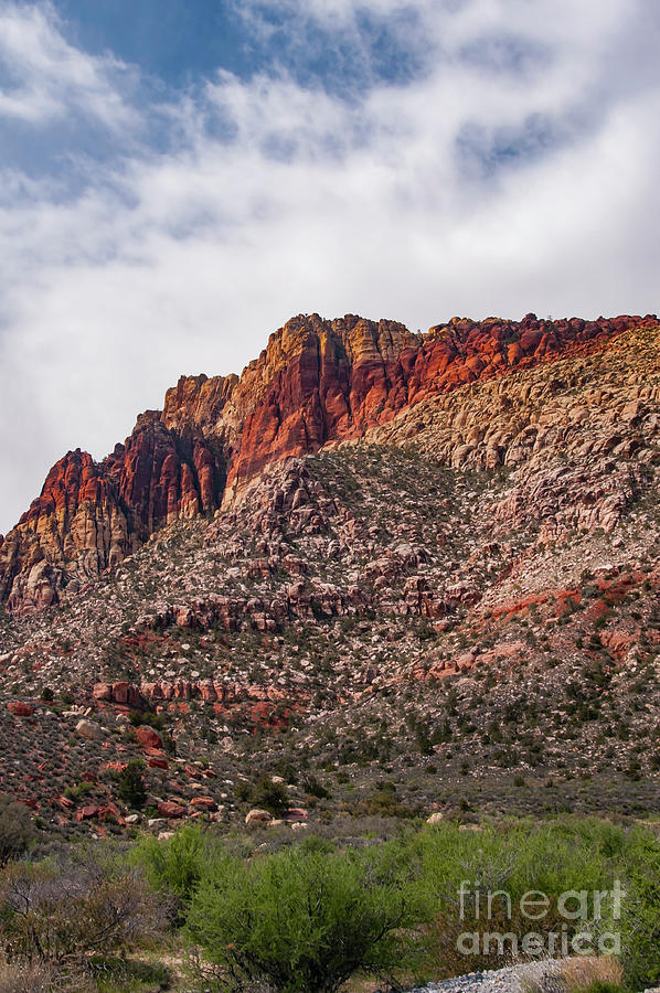Colors of Red Rock Canyon Four Photograph by Bob Phillips