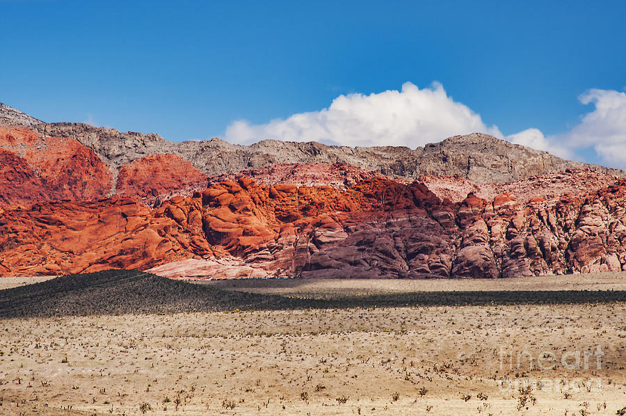 Colors of Red Rock Canyon Six Photograph by Bob Phillips