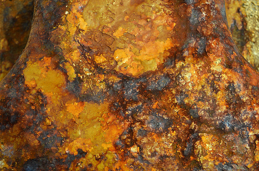 COLORS of RUST 4 Photograph by Richard Ortolano