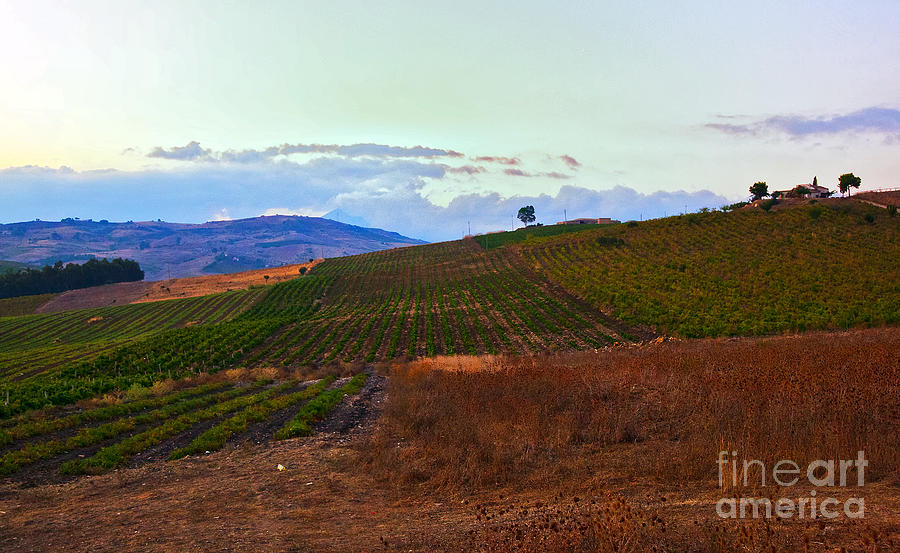 Landscape Photograph - Colors of Sicily by Madeline Ellis