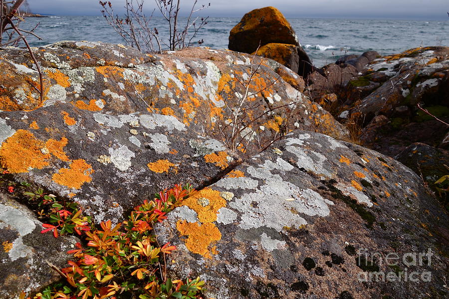 Colors of Superior Shoreline Photograph by Sandra Updyke