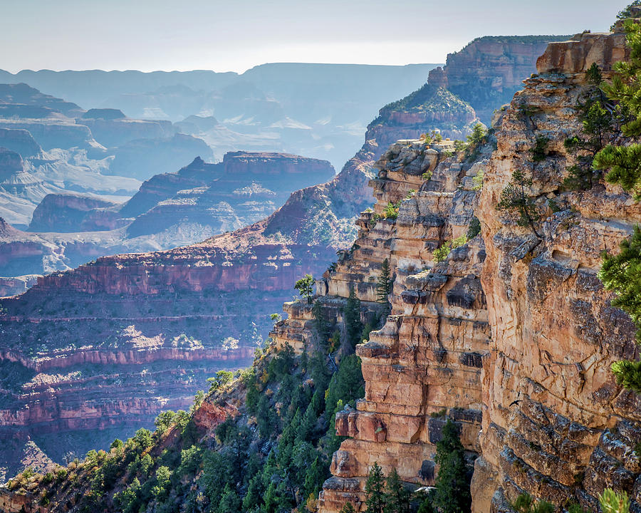 Colors of the Grand Canyon Photograph by Joe Myeress