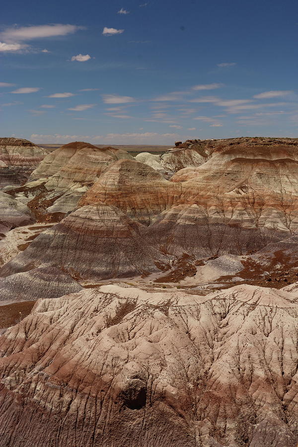 Colors Of The Painted Desert Photograph by Christiane Schulze Art And Photography