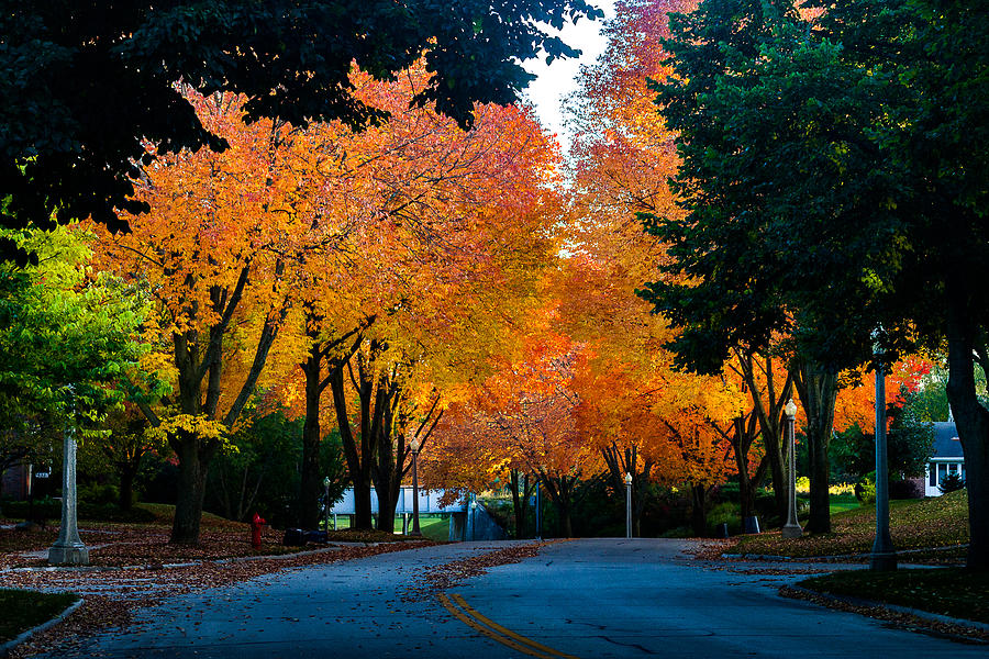 Colors Of The Season Photograph by Daniel Chen - Fine Art America