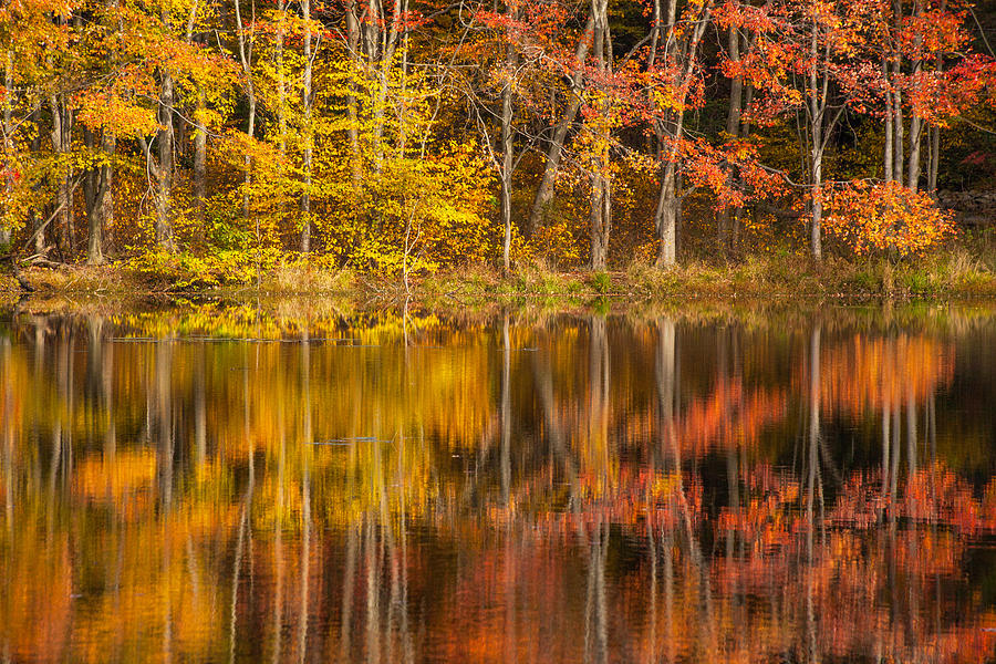 Fall Photograph - Colors Of The Season by Karol Livote