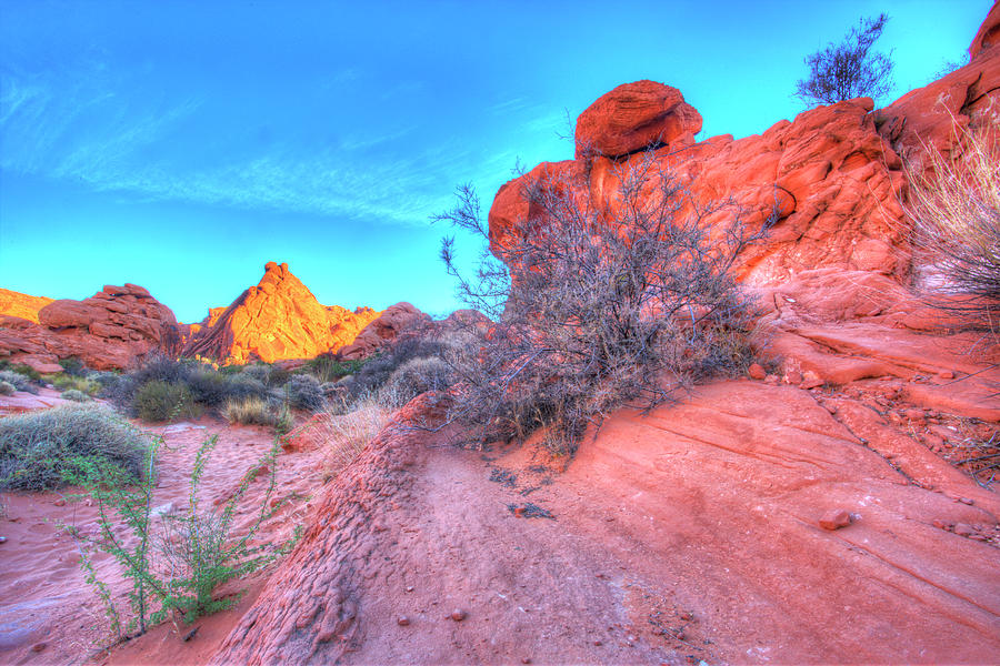 Colors of the Valley Photograph by Zane Kuhle - Fine Art America