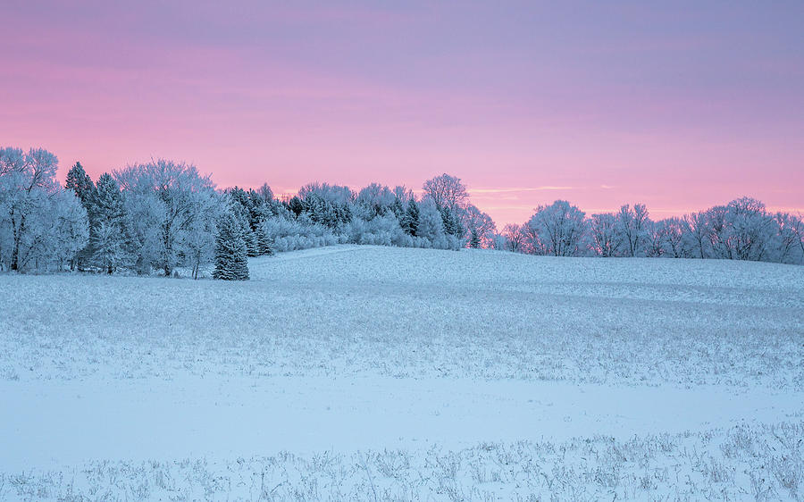 Colors of Winter Photograph by Penny Meyers
