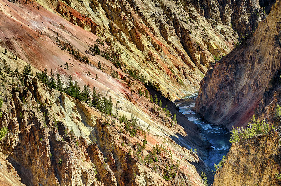Colors of Yellowstone Canyon Photograph by Shirley Mitchell