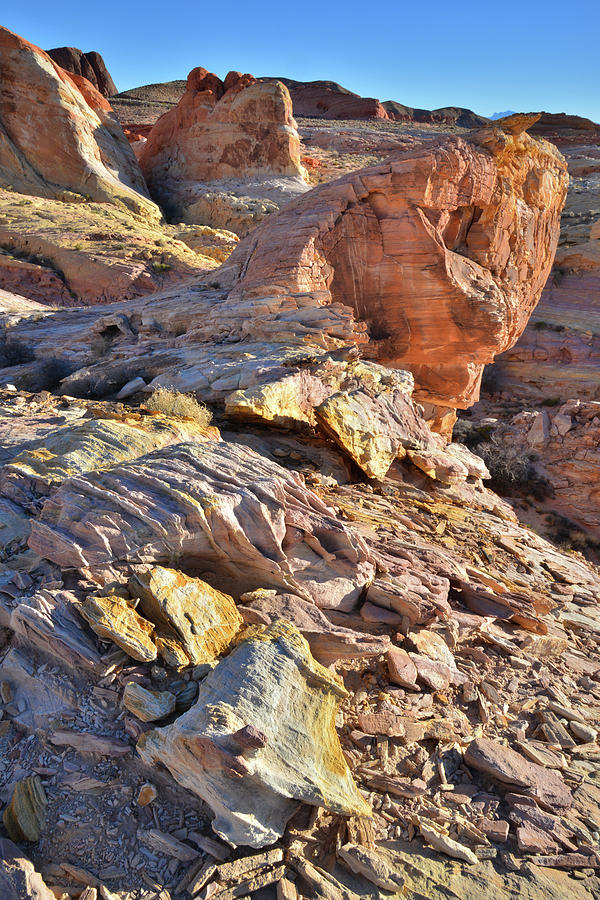 Colors on the Edge in Valley of Fire Photograph by Ray Mathis