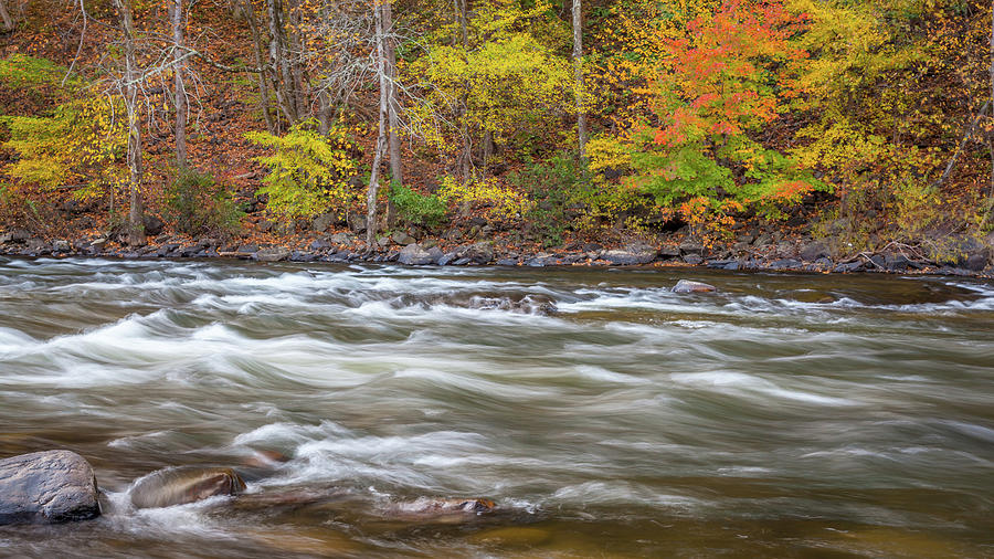 Colors on the Nolichucky Photograph by Thomas Miller - Fine Art America