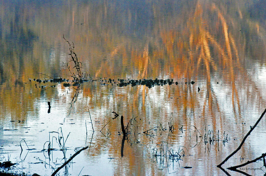 Watercolor Pond Photograph by Kay Lovingood