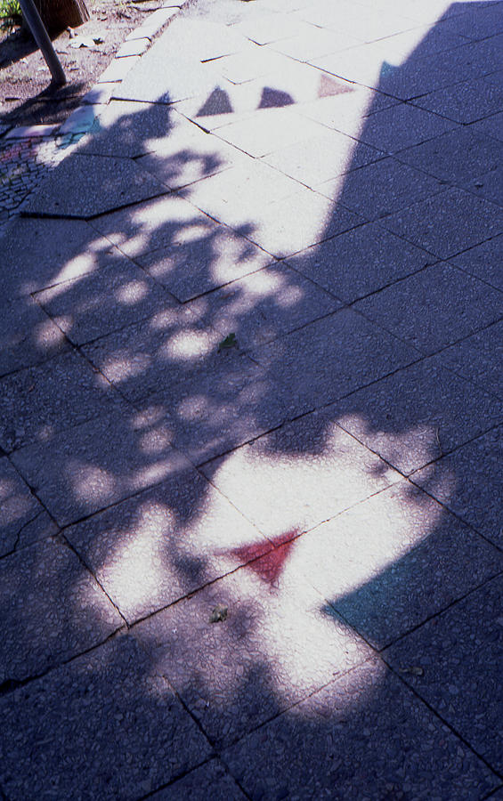 Shadows Photograph - Colors on the shadows by Nacho Vega