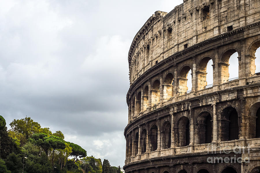 Colosseum Closeup Photograph by Prints of Italy