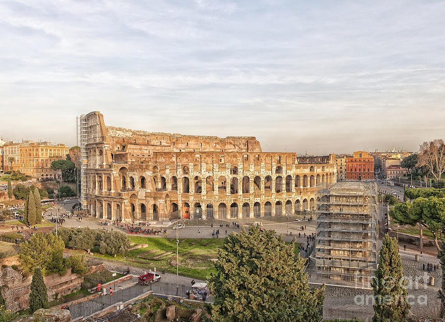Colosseum from Palatine Hill Photograph by Antony McAulay