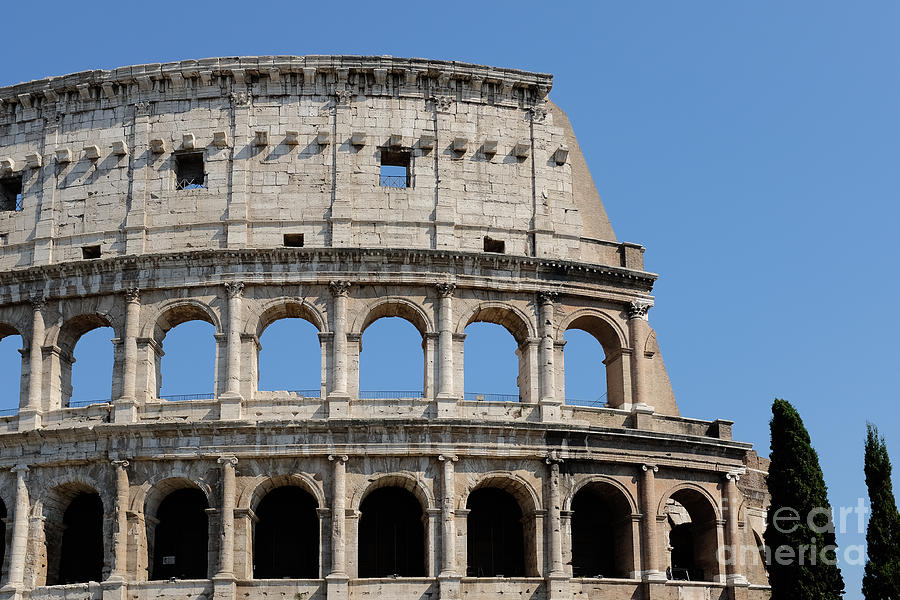 Colosseum or Coliseum Photograph by Edward Fielding