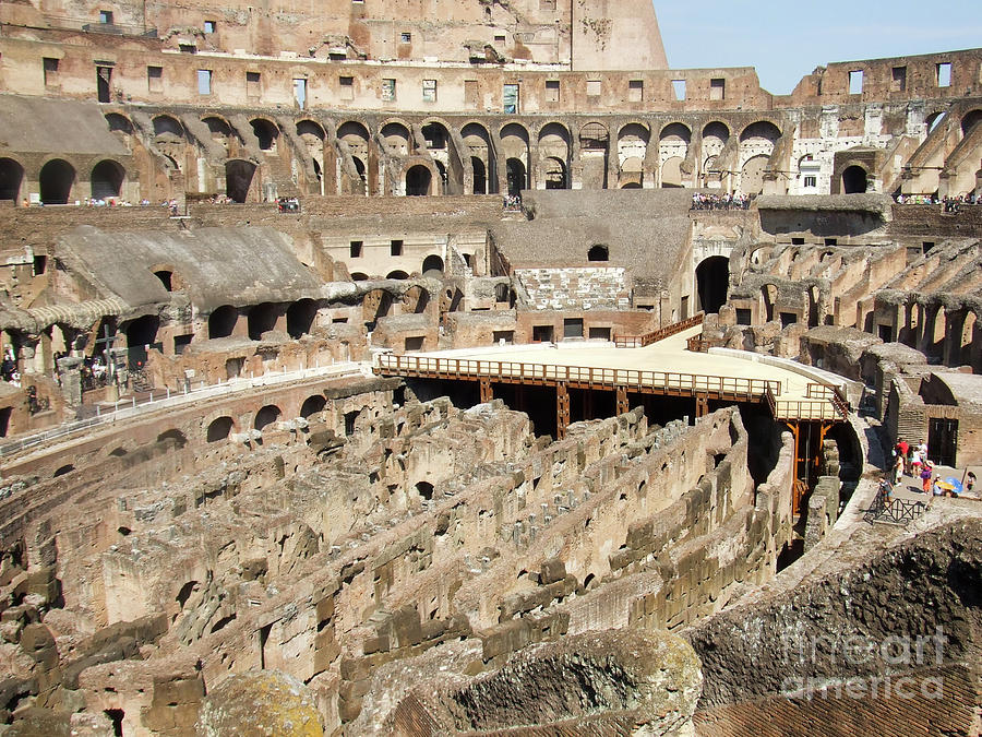 Colosseum Rome Italy Photograph by Edward Fielding