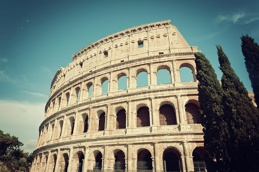 Colosseum With Cypress Trees In Vintage Tone Photograph