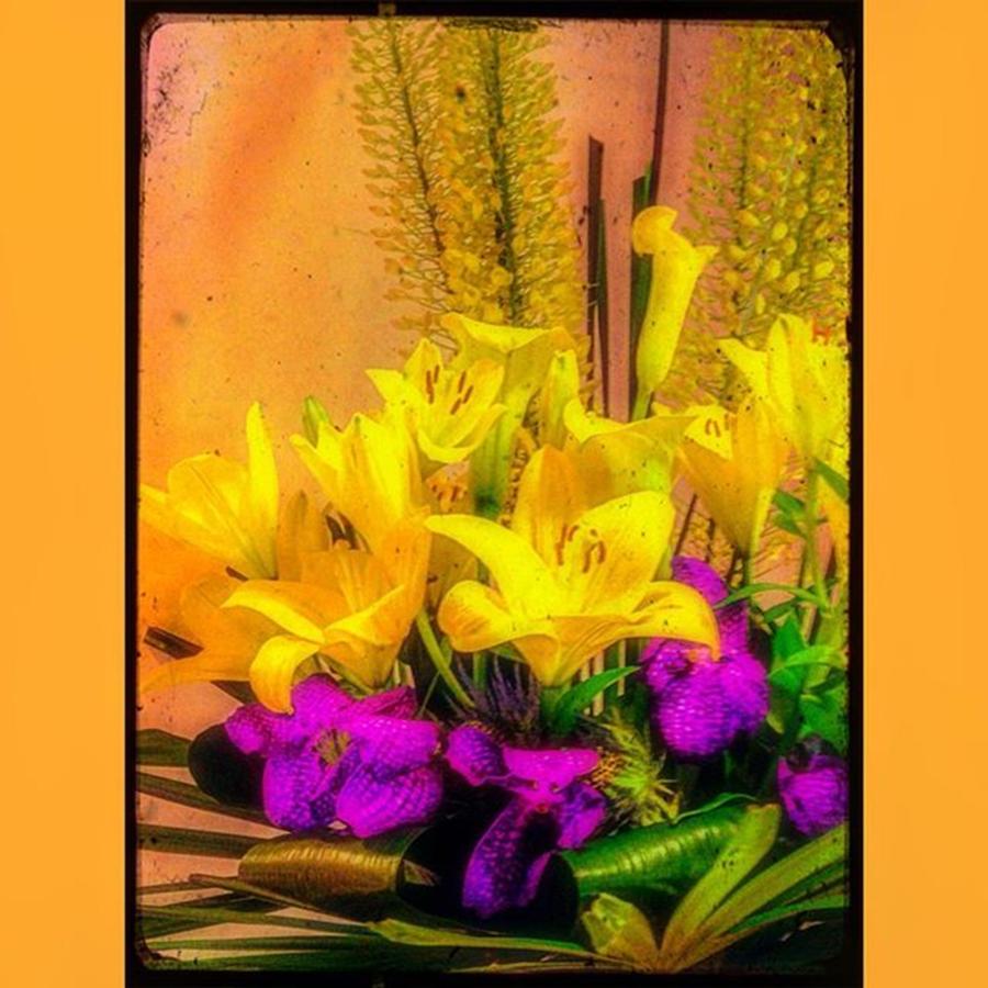 Summer Photograph - #colour #bouquet #display #decoration by Sam Stratton
