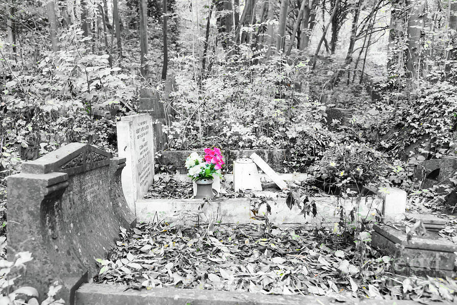 Colour in the cemetery Photograph by Colin Rayner