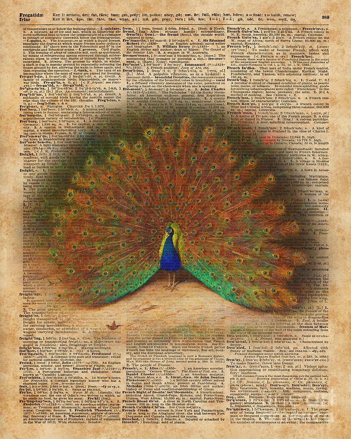 Peacock Digital Art - Colourful Beautiful Peacock Vintage Dictionary Art by Anna W