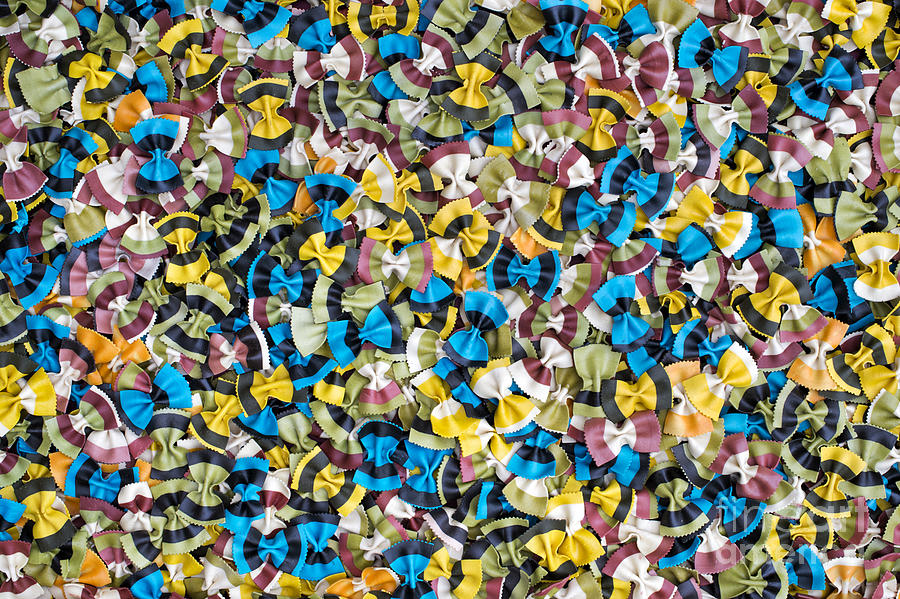 Colourful Butterflies Photograph by Tim Gainey