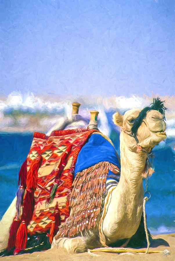 Colourful Camel Digital Art by Roy Pedersen