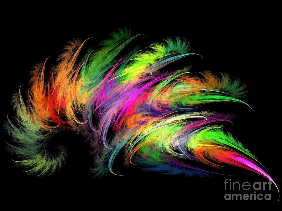 Abstract Digital Art - Colourful Feather by Klara Acel