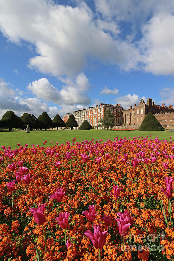 Colourful Flowers at Hampton Court London  Photograph by Julia Gavin