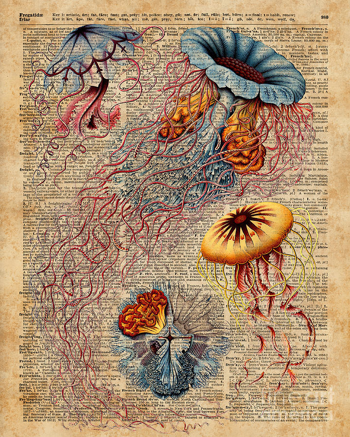 Vintage Digital Art - Colourful Jellyfish Marine Animals Illustration Vintage Dictionary Book Page,Discomedusae by Anna W