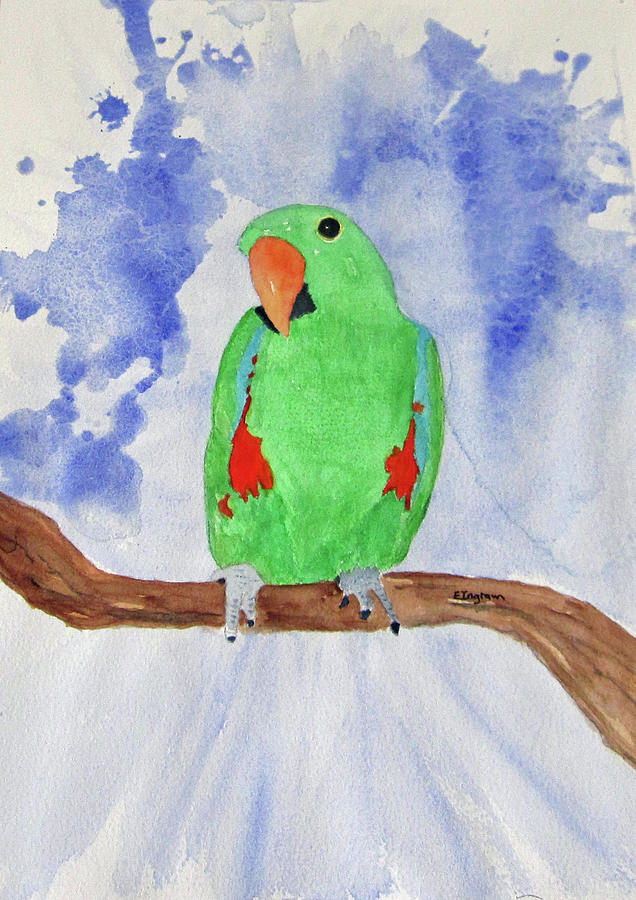 Female Parrot Painting by Elvira Ingram