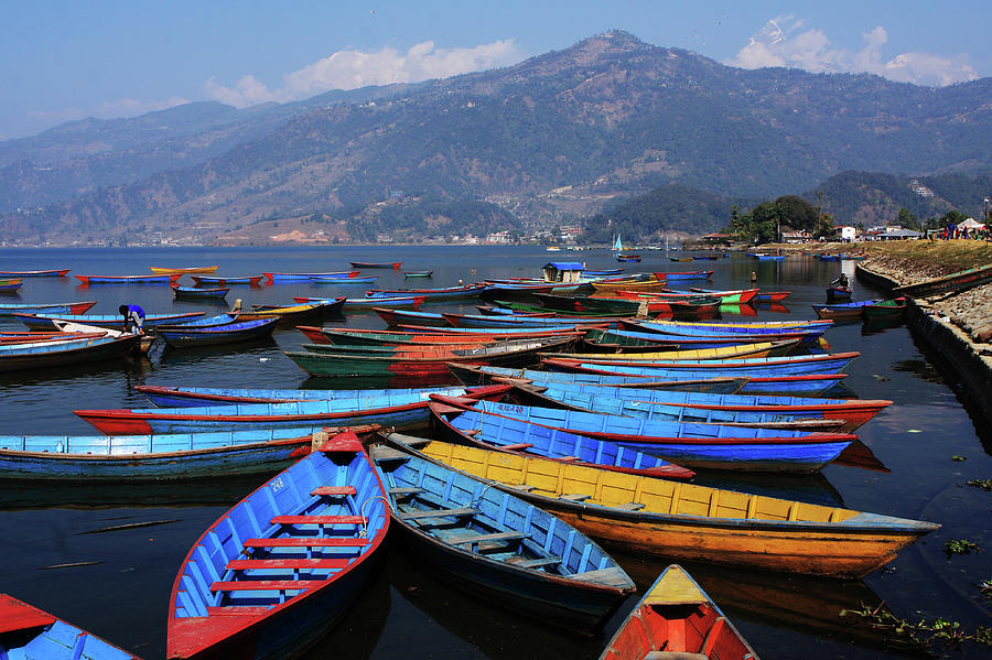 Colourful Rowing Boats Photograph by Aidan Moran - Fine Art America