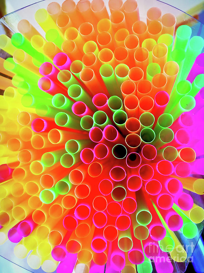 Abstract Photograph - Colourful straws by Tom Gowanlock