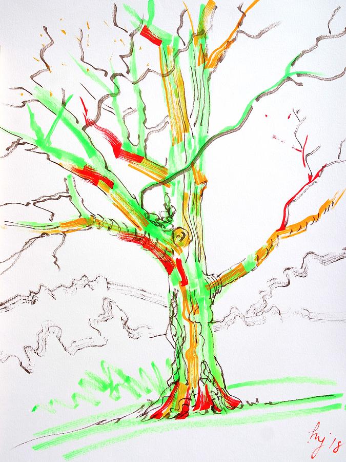 Colourful Tree Drawing Drawing by Mike Jory