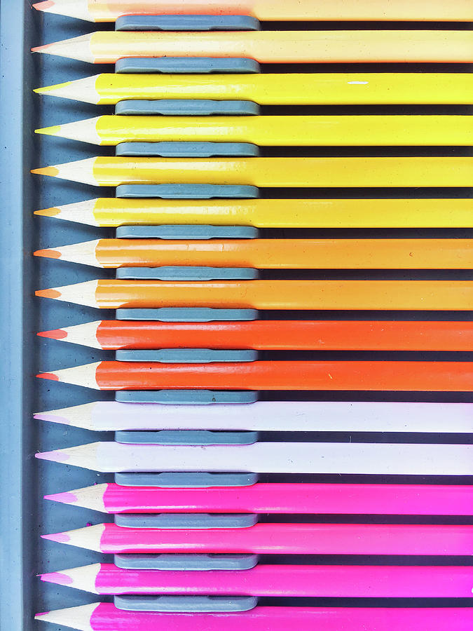 Crayon Photograph - Colourful wooden pencils  by Tom Gowanlock