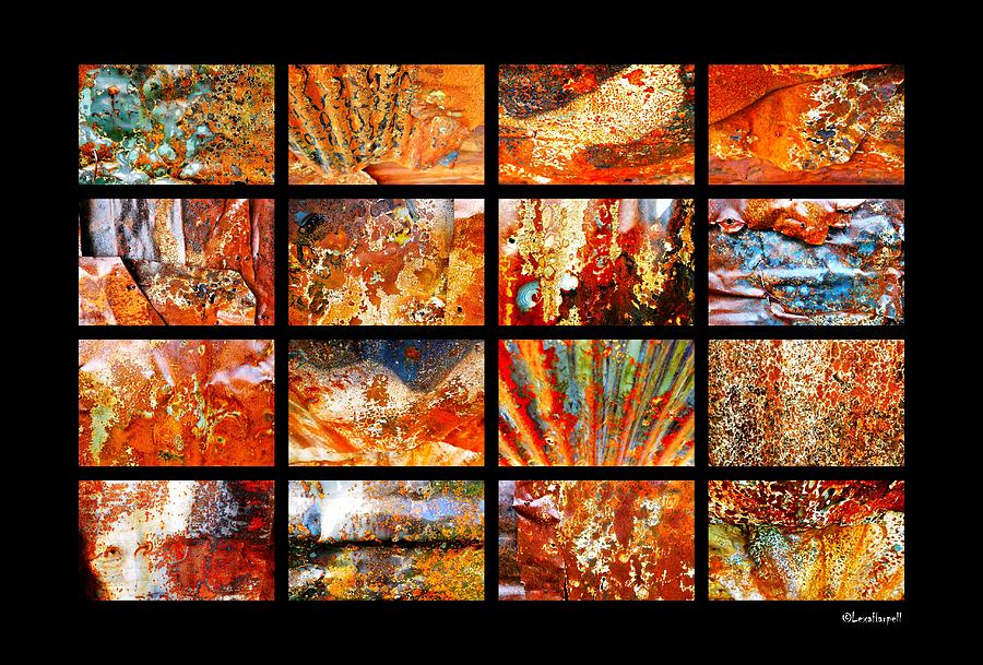 Colours of Corrosion  Photograph by Lexa Harpell