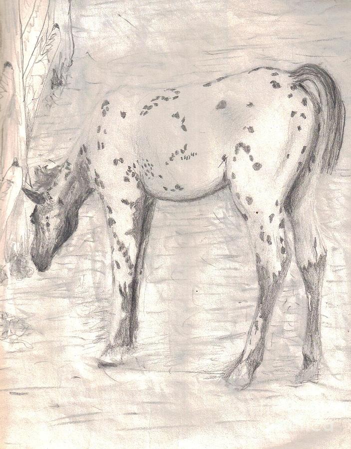 colt by Miles Mulloy colt by Miles Mulloy