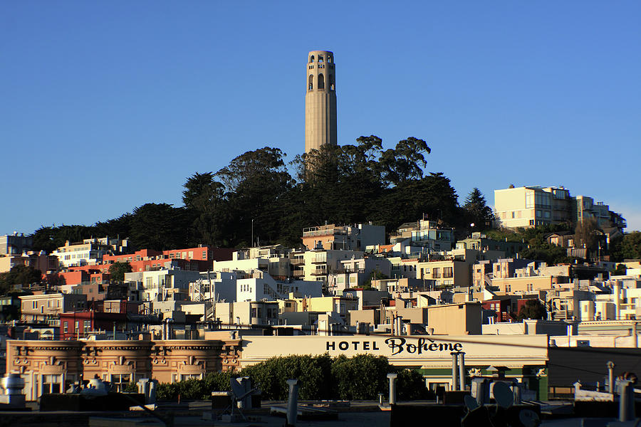 Colt Tower, San Francisco, California Photograph by Aidan Moran