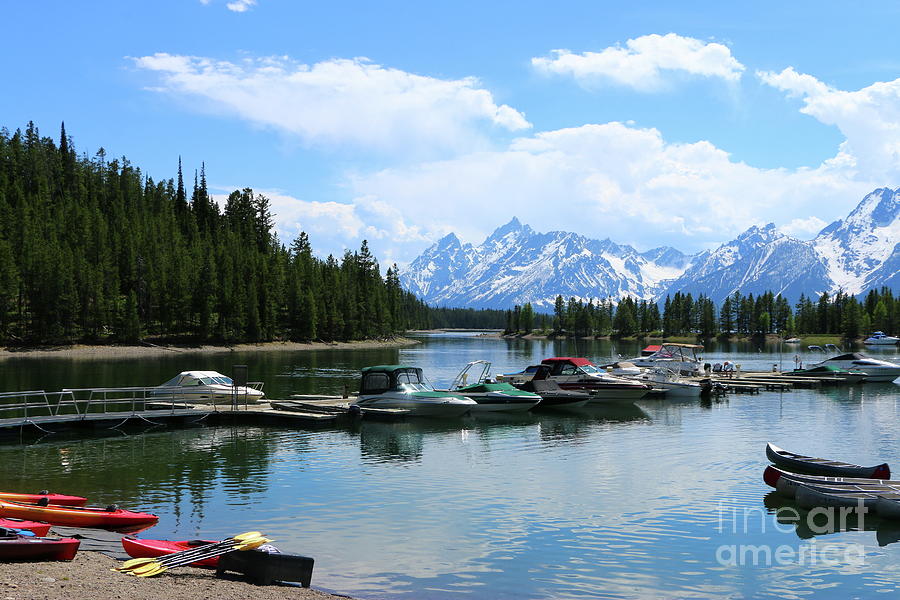 Colter Bay On Jackson Lake  Photograph by Christiane Schulze Art And Photography
