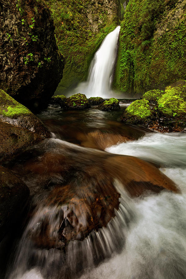 Spring Photograph - Columbia Cleft by Mike Lang