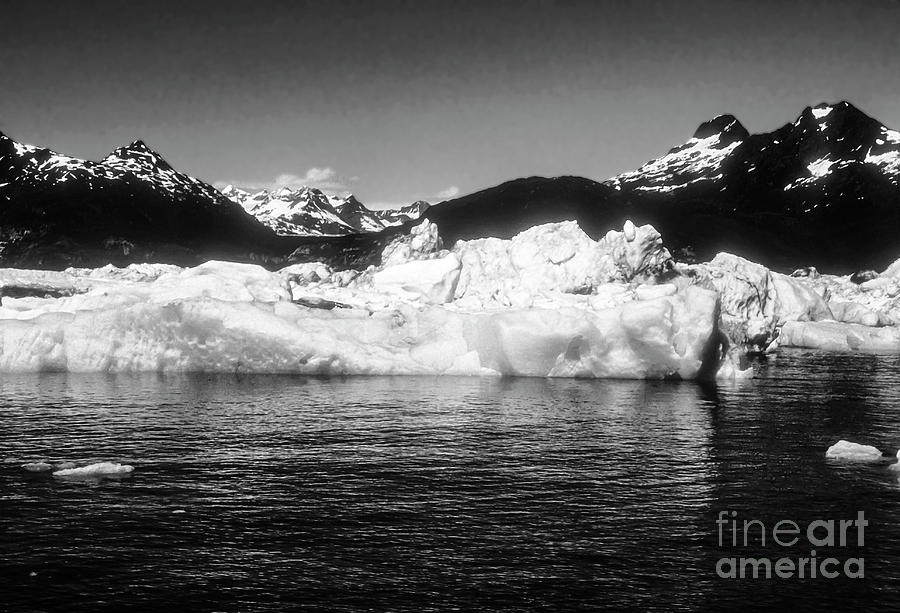 Columbia Glacier Five 2 Photograph by Bob Phillips