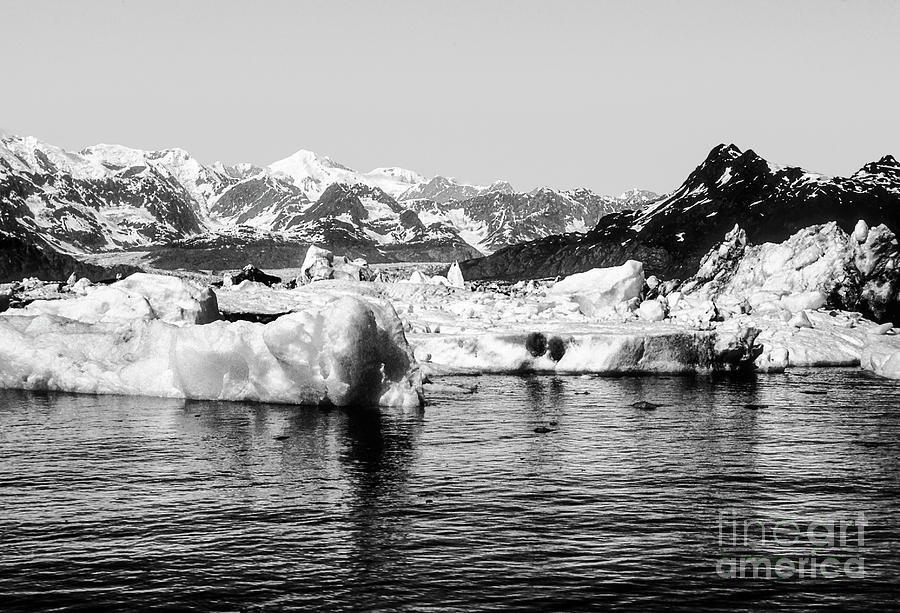 Columbia Glacier Four 2 Photograph by Bob Phillips