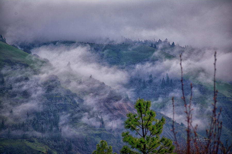 Columbia Gorge Mist Photograph by Bill Posner