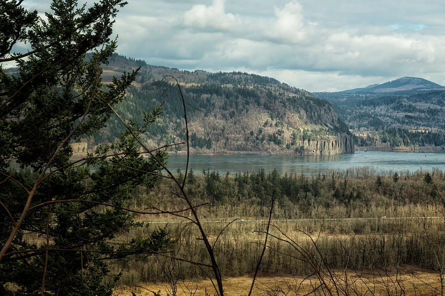Columbia Gorge View from the Trail Photograph by Belinda Greb