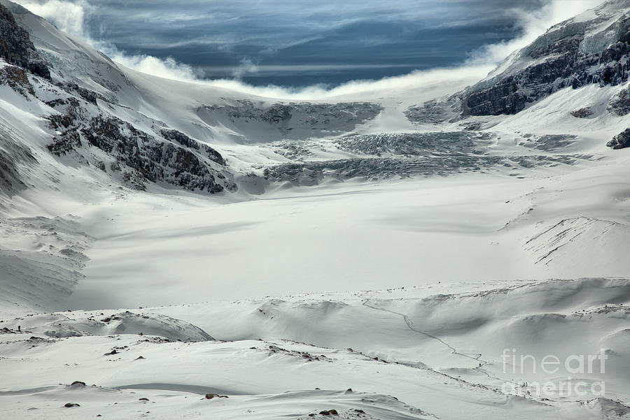 Columbia Icefield Winter Paradise Photograph by Adam Jewell