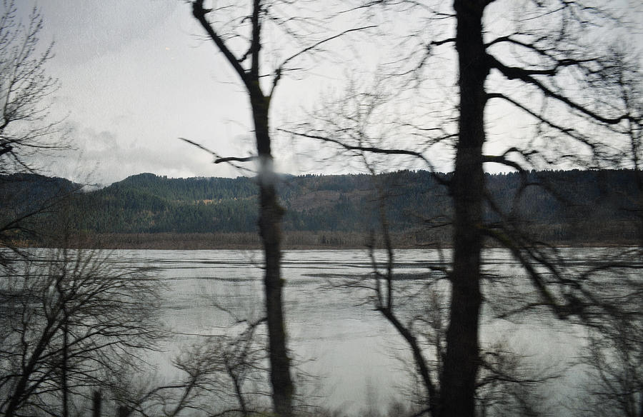 The Great Train Robbery Photograph - Columbia River Gorge Hiding Trees by Kyle Hanson