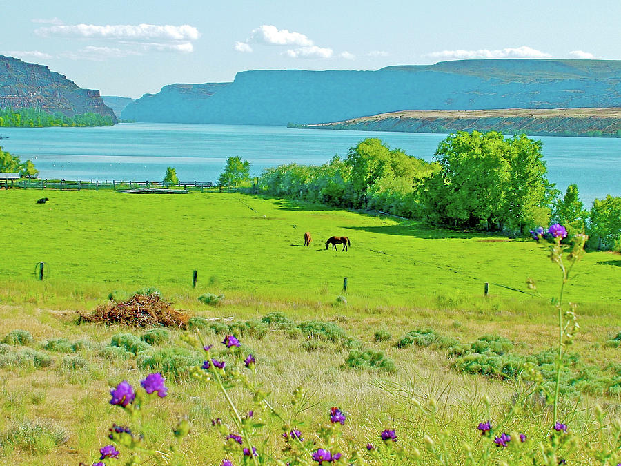 Columbia River Gorge near Quincy, Washington Photograph by Ruth Hager