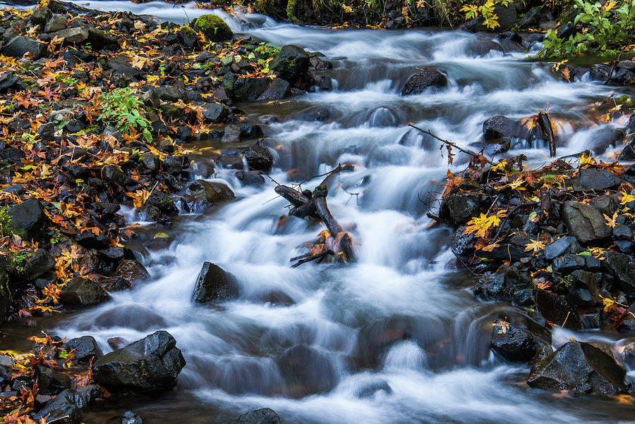 Columbia River Gorge  Stream Photograph by Donald Pash